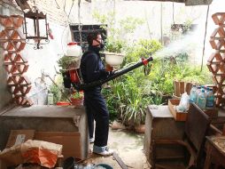 El reforzamiento de la campaña contra el dengue será en el ámbito nacional. A. CAMACHO  /