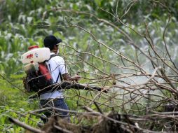 Se pretende con esta clasificación evitar riesgos de muerte en las personas contagiadas  de Dengue. ARCHIVO  /