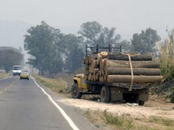 La industria maderera enfrenta no sólo problemas locales sino internacionales. ARCHIVO  /