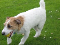 La pareja dijo que estaban asombrados porque Kiko parecía saber que Douthett tenía una infección. ESPECIAL  /