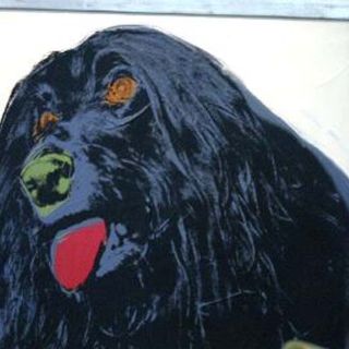 Surge escándalo en torno a la obra de Andy Warhol