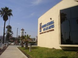 El encuentro de poesía se celebrará en el marco de los festejos del Bicentenario. ESPECIAL  /