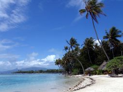 El azul intenso del agua y la suave arena, hacen de las playas de Margarita el destino predilecto en Venezuela.ESPECIAL  /