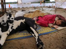 Un niña descansa junto a su oveja debido a las fuertes lluvias que han afectado a los pakistaníes. AFP  /