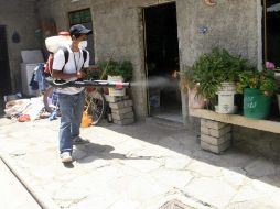 La fumigación ha sido una de las actividades primordiales contra el dengue. ARCHIVO  /