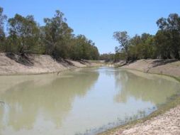 Más de diez años de sequía ha secado gran parte de la cuenca inferior de los ríos Murray y Darling. ESPECIAL  /