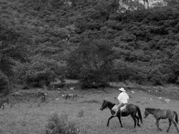 Los hallazgos se revelarán en el marco de la IV Mesa Redonda. El conocimiento Antropológico e Histórico sobre Guerrero. EL UNIVERSAL  /