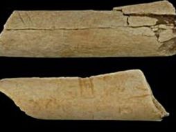 Imagen de dos fósiles de huesos con marcas realizadas por un instrumento afilado. ELUNIVERSAL  /