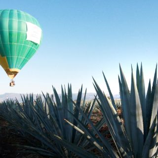 La Ruta del Tequila se queda sin paseos en globo