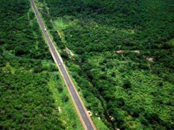 Los gobernantes niegan los efectos perjudiciales de las carreteras en zonas naturales. ESPECIAL  /