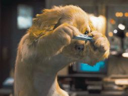 • Como perros y gatos 2. WARNER BROS. • El secreto de sus ojos. ARTECINEMA.  /