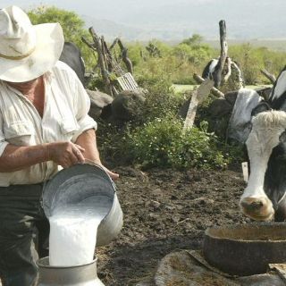 Realizan XXVI Conferencia Internacional sobre Ganado Lechero