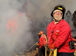 Bomberos combaten contra el fuego en un bosque de Seia, Portugal. EFE  /