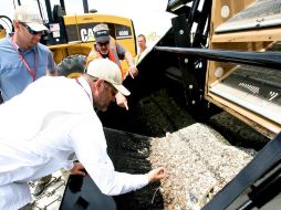 Las playas de Alabama serán limpiadas por maquinaria que utiliza la técnica de levantar y filtrar manchas enterradas bajo la arena. EFE  /