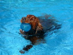 En el hospital hay lugar hasta para una piscina de 25 metros para fisioterapia. ESPECIAL  /
