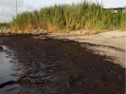 El derrame duró más de un mes y antes de que pudiera ser frenado varios millosnes de barriles de crudo se vertieron al mar. EFE  /