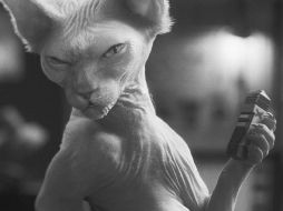 Kitty Galore es la enemiga pública número uno entre canes y felinos. ESPECIAL  /