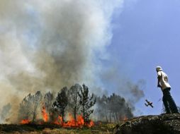 Las llamas han movilizado incluso a civiles que tratan con desesperación extinguir los incendios. AP  /
