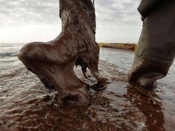 Aunque en las aguas mexicanas aún no hay indicios de la marea, no se descartan afectaciones al ecosistema marítimo. ARCHIVO  /