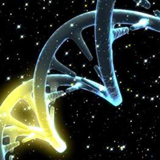 Gen del sistema inmunológico, vinculado con mal de Parkinson