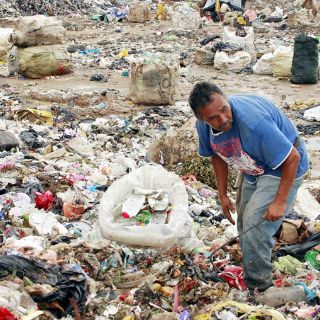 Reactivarán separación de basura hasta solucionar problemas de Picachos