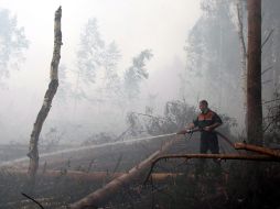 Los incendios también contribuyeron a la situación de sequía que vive el país europeo. EFE  /