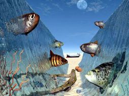 La plataforma de la feria estará dotada de alta tecnología. ESPECIAL  /