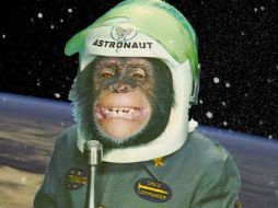 Para el 2012 se lanzará el primer satélite llamdo ‘Bion-M’. ESPECIAL  /