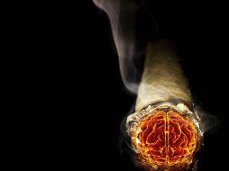 El informe está en una publicación del Centro para el Control y Prevención de Enfermedades en Atlanta. ESPECIAL  /