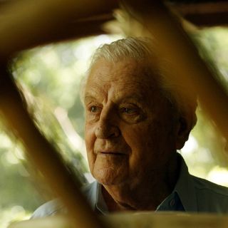 Miguel Aldana Mijares retoma el CAM