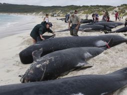 El mal clima hace difícil su rescate. ESPECIAL  /