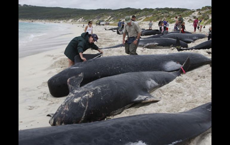 El mal clima hace difícil su rescate. ESPECIAL  /