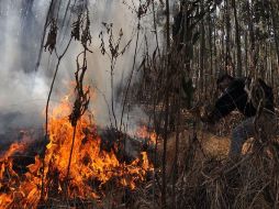 Este podría ser uno de los mayores desastres forestales que se ha producido en Bolivia. AFP  /