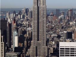 Alrededor de 800 mil neoyorquinos están siendo afectados por los animales. EFE  /