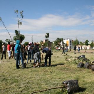 Reforestan predio de la colonia Los Arrayanes