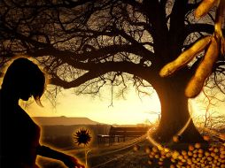 El déficit hormonal también genera alteraciones en el sistema genitourinario. ID  /