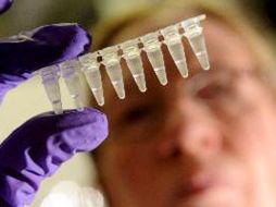 Los investigadores subrayaron que esta relación no es suficiente para probar que el virus causa el síndrome. ESPECIAL  /