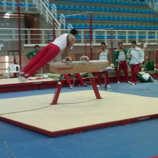 Gimnastas entrenan en el Complejo Panamericano