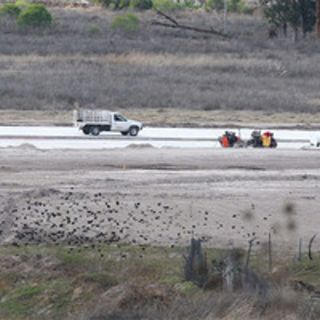Zapopan aprueba en comisiones entrega de terreno a Intel