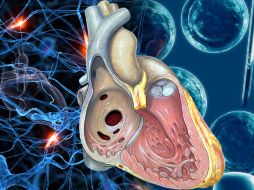 El estudio reveló cómo se lleva a cabo este proceso y por qué ocurre el fenómeno en pacientes con diabetes. ESPECIAL  /