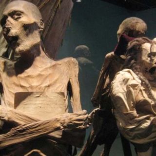 Llegan 24 momias de Guanajuato al Parque Tezontle, en Iztapalapa