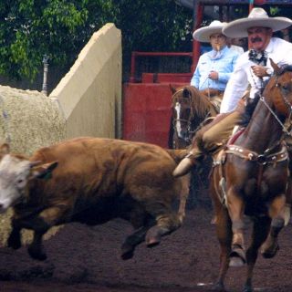 Listos los mejores charros del país
