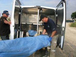 Personal de Semefo se encargò de retirar el cuerpo. ARCHIVO  /