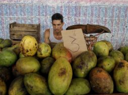 La categoría de 'vendedor de producción agrícola en puntos de venta o kioscos'. fue añadida a la lista de profesiones independientes.AP  /