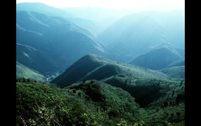 El bosque y pueblo de San Sebastian si resulta elegido se unirá a los ya Pueblos Mágicos del estado. ARCHIVO  /