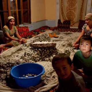 Niños uzbecos obligados a trabajar en el negocio de la seda
