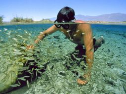 Actividades como el snorkel son muy populares en los ríos de este rincón de Coahuila. ESPECIAL  /