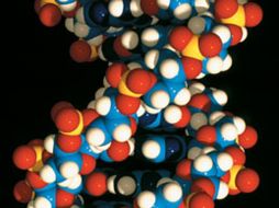 El modelado molecular ha abierto nuevas esperanzas en la medicina. ESPECIAL  /