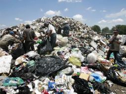 Para Alemania, el reciclaje de materiales es una prioridad. ARCHIVO INFORMADOR  /