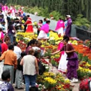 México rompe récord Guinness con el tapete de flores más largo del mundo